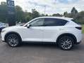 Mazda CX-5 Sports-Line SKYACTIV-D 184 AWD *Automatik* Blanc - thumbnail 2