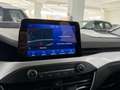 Ford Focus 1.5 EcoBlue 95 CV SW Business Gris - thumbnail 11