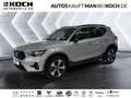 Volvo XC40 B3 Plus Dark ACC 360° Harman BLIS ACC Navi Silber - thumbnail 1