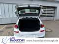 Hyundai i30 1.4 T TREND KAMERA+APPLE CARPLAY+SITZHZG Weiß - thumbnail 7