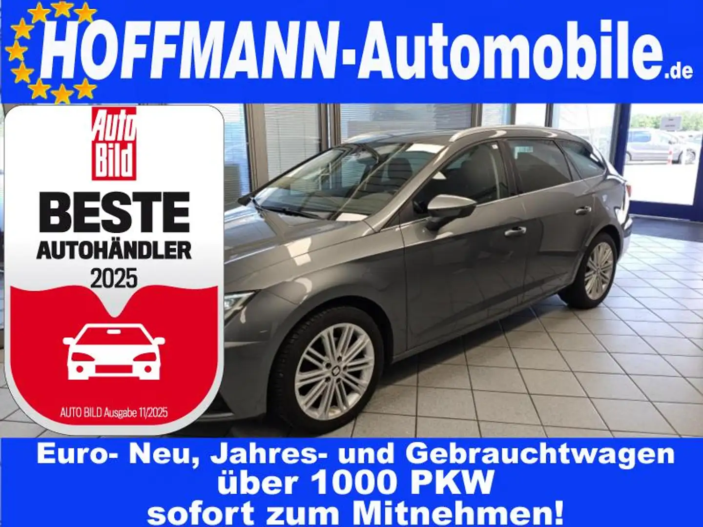 SEAT Leon Xcellence Tüv 06-2026 Grau - 1