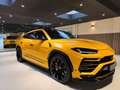 Lamborghini Urus 4.0 V8 |PANO|B&O|CERAMIC|FABRIEKSGARANTIE|FULL PPF Žlutá - thumbnail 13