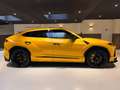 Lamborghini Urus 4.0 V8 |PANO|B&O|CERAMIC|FABRIEKSGARANTIE|FULL PPF Geel - thumbnail 22