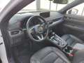 Mazda CX-5 CX-5 2.2L Skyactiv-D 150 CV 2WD Homura + Comfort Bianco - thumbnail 12