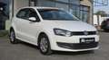 Volkswagen Polo Cool 1,2 MT5 Weiß - thumbnail 3