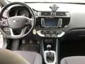 Kia Rio Rio III  5p 1.2 Cool eco GPL Neopatentati Bianco - thumbnail 10