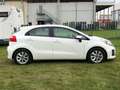 Kia Rio Rio III  5p 1.2 Cool eco GPL Neopatentati Bianco - thumbnail 3