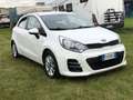 Kia Rio Rio III  5p 1.2 Cool eco GPL Neopatentati Bianco - thumbnail 2
