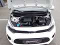 Kia Picanto 1.0 Vision Navi Apple CarPlay Android Auto Klimaau Wit - thumbnail 14