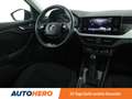 Skoda Scala 1.0 TSI Drive 125 Aut.*LED*ACC*PDC*SHZ* Grau - thumbnail 13