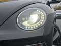 Volkswagen Beetle Allstar 1.2 TSI BI-XENON R-KAM T-LEDER Noir - thumbnail 5