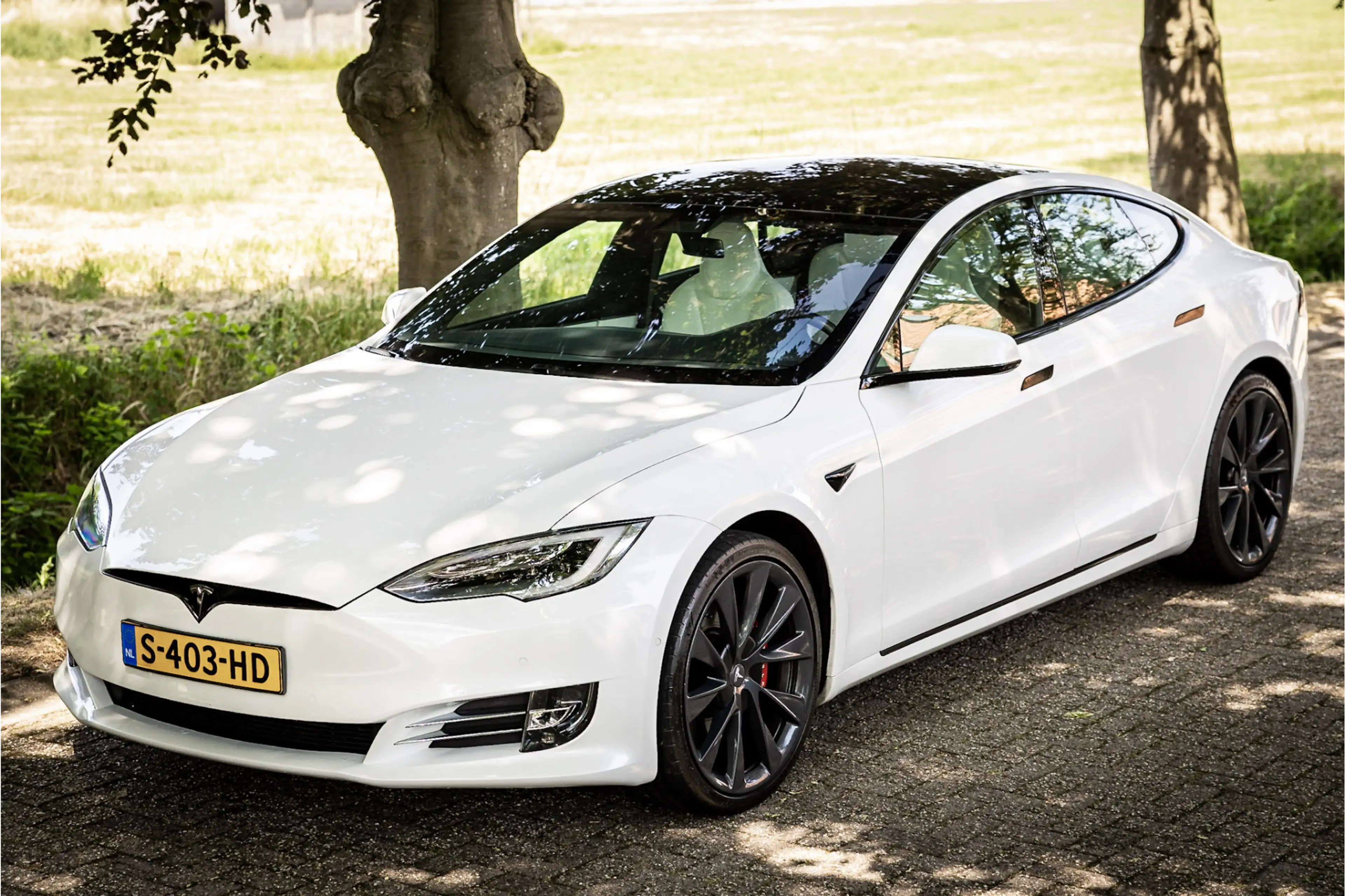 Tesla Model S P100D Performance Ludicrous Stoelventilatie Carbon — photo 14