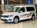 Volkswagen Caddy DSG Maxi Behindertengerecht-Rampe Blanc - thumbnail 14