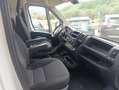 Fiat Ducato Bianco - thumbnail 12