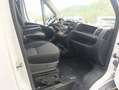 Fiat Ducato Bianco - thumbnail 14