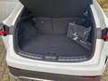 Lexus NX 350h F SPORT AWD Panoramadach Wit - thumbnail 7