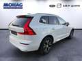 Volvo XC60 AWD Momentum Pro B4D semielektr. ACC TWA Google Bianco - thumbnail 3