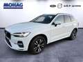 Volvo XC60 AWD Momentum Pro B4D semielektr. ACC TWA Google Bianco - thumbnail 1
