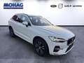 Volvo XC60 AWD Momentum Pro B4D semielektr. ACC TWA Google Bianco - thumbnail 2