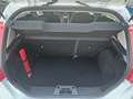 Ford Fiesta VI Klima EFH NSW MFL Frontscheibenheizung Blanco - thumbnail 22