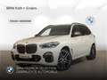 BMW X5 d+Panorama+AHK+Navi+HUD+Leder+e-Sitze+RFK White - thumbnail 1