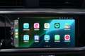 Audi Q3 35 TDI quattro S tronic Business Uff Tagliandata Gris - thumbnail 12