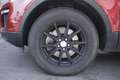 Land Rover Range Rover Evoque Land Rover RR Evoque 2.0 TD4 180 CV 5p. HSE Dynam Rosso - thumbnail 11