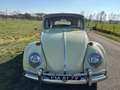 Volkswagen Käfer cabrio 1966 Gelb - thumbnail 2