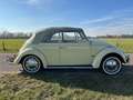 Volkswagen Käfer cabrio 1966 Gelb - thumbnail 5