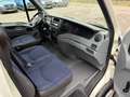 Iveco Daily 35S10 ( Only Export) Bakwagen Laadklep Koffer Lade Blanc - thumbnail 6