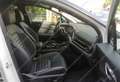 Kia Sportage Sportage V 2022 1.6 crdi mhev GT-line Plus dct Weiß - thumbnail 3