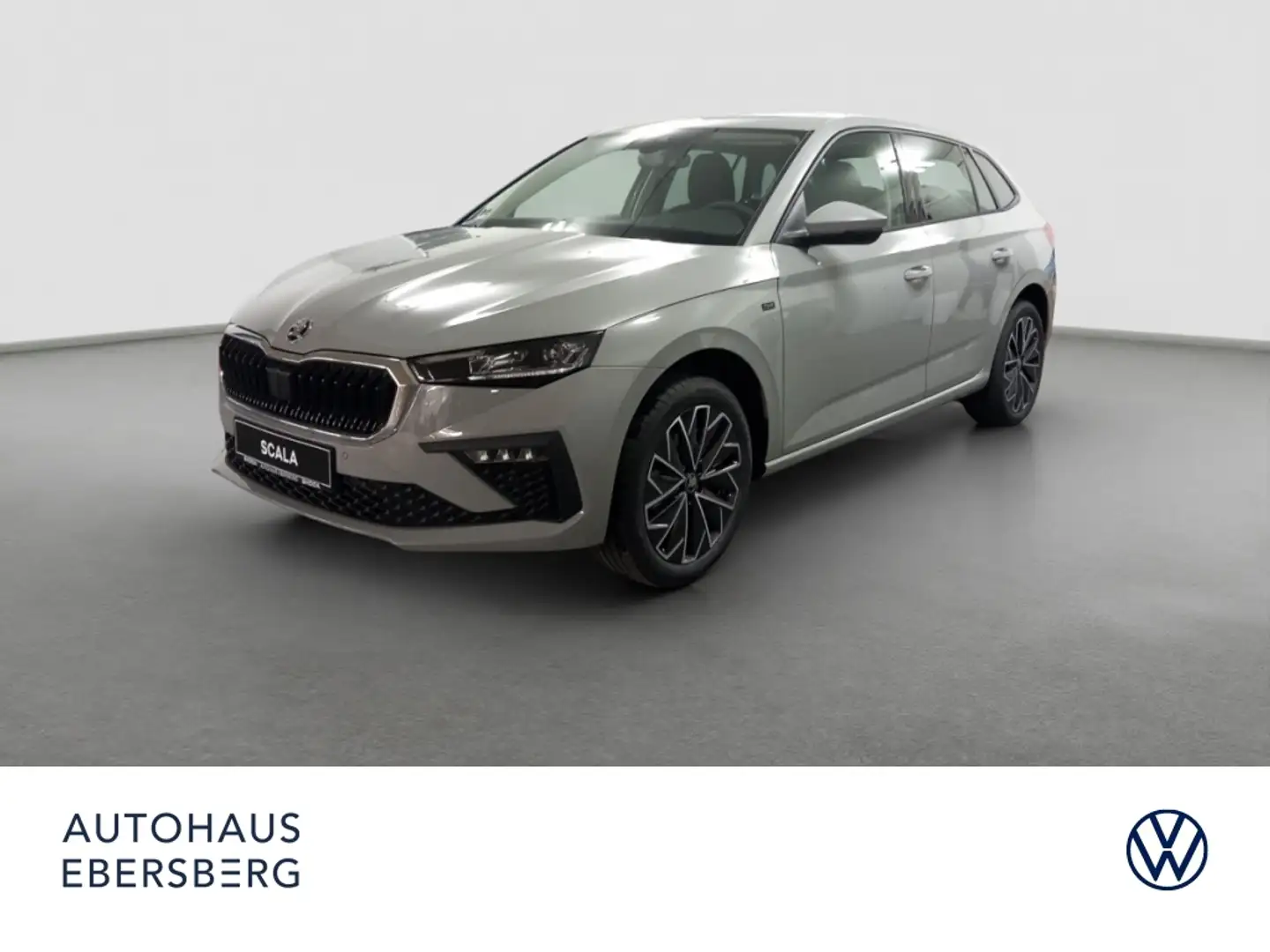Skoda Scala Tour TSI DSG Navi LED Assist Infotainment Grau - 1