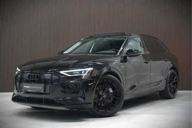 Audi e-tron e-tron 50 quattro Launch edition plus 71 kWh | Pan