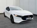 Mazda 3 2.5L e-SKYACTIV G 140ps Homura Weiß - thumbnail 7