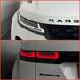Land Rover Range Rover Evoque R-Dynamic SE*P200*BLACK PACK* Weiß - thumbnail 21