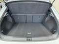 Volkswagen T-Roc 1.5 TSI DSG R-Line Navi Kamera Climatronic Weiß - thumbnail 7
