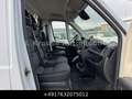 Fiat Ducato 2.3 multijet 180 Klima Temp. Weiß - thumbnail 16
