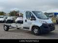 Fiat Ducato 2.3 multijet 180 Klima Temp. Weiß - thumbnail 7
