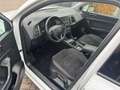 SEAT Ateca 1.0 EcoTSI Style | Carplay| PDC| Keyless| 1e eigen Wit - thumbnail 12