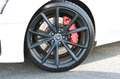 Audi RS4 Avant 4.2 FSI quattro RS-Aga 20"Alu Bang&Olu Weiß - thumbnail 10