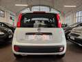 Fiat Panda Panda III 2016 1.2 Easy easypower Gpl 69cv Bianco - thumbnail 5