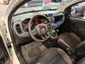 Fiat Panda Panda III 2016 1.2 Easy easypower Gpl 69cv Bianco - thumbnail 7