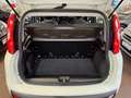 Fiat Panda Panda III 2016 1.2 Easy easypower Gpl 69cv Bianco - thumbnail 13