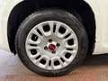Fiat Panda Panda III 2016 1.2 Easy easypower Gpl 69cv Bianco - thumbnail 14