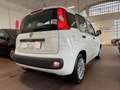 Fiat Panda Panda III 2016 1.2 Easy easypower Gpl 69cv Bianco - thumbnail 4