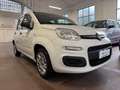 Fiat Panda Panda III 2016 1.2 Easy easypower Gpl 69cv Bianco - thumbnail 3