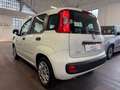 Fiat Panda Panda III 2016 1.2 Easy easypower Gpl 69cv Bianco - thumbnail 6