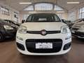 Fiat Panda Panda III 2016 1.2 Easy easypower Gpl 69cv Bianco - thumbnail 2