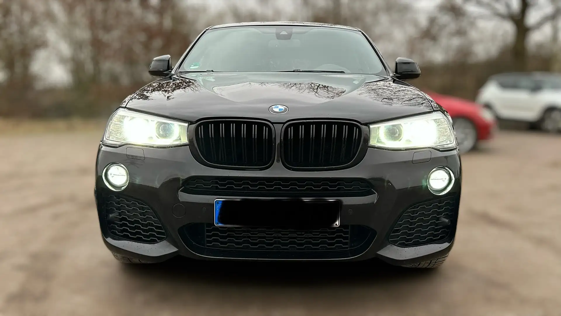 BMW X4 BMW X4 xDrive 35D M-Sportp. HuD, Kamera, Automatik Noir - 2