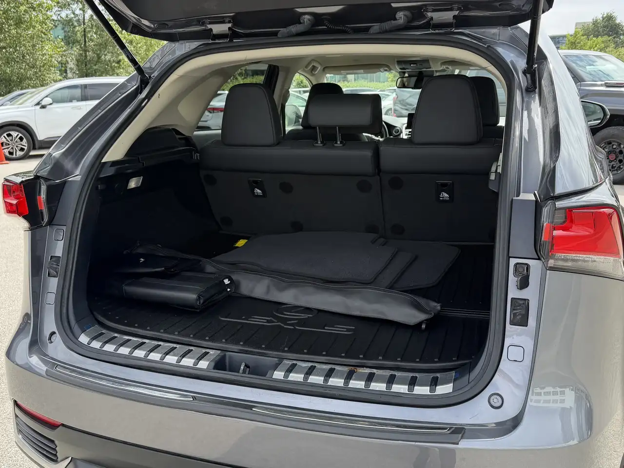 Lexus NX снимка Lexus NX